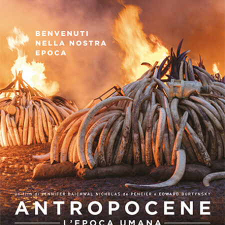 ? Antropocene - L'epoca umana