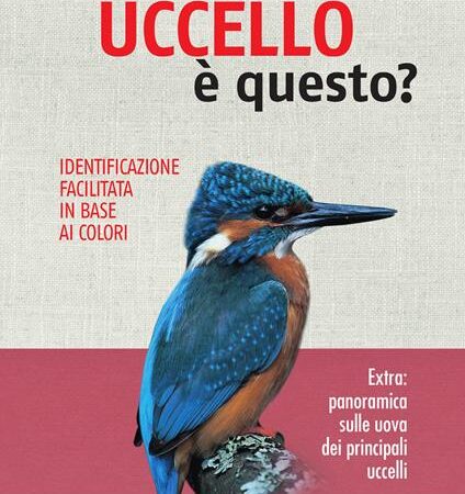 ? Che uccello è questo?