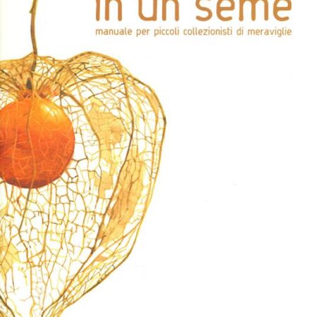 ? In un seme. Manuale per piccoli collezionisti di meraviglie. Ediz. a colori