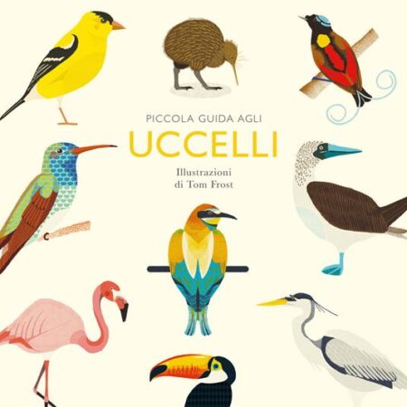 ? Piccola guida agli uccelli. Ediz. Illustrata