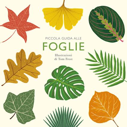 ? Piccola guida alle foglie. Ediz. Illustrata