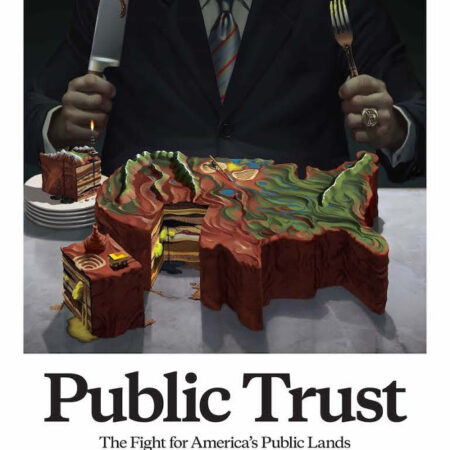 ? Public Trust