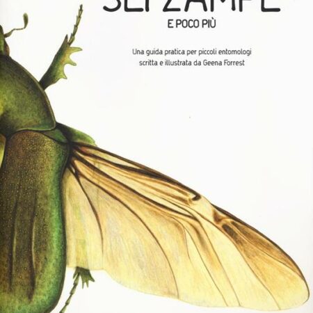 ?? Sei zampe e poco più. Una guida pratica per piccoli entomologi. Ediz. Illustrata