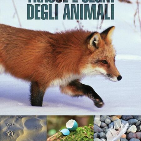 ? Tracce e segni degli animali. Ediz. Illustrata