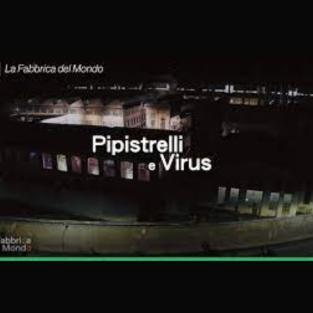 ? Pipistrelli e virus