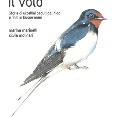 ? Prendere il volo. Storie di uccellini caduti dal nido e finiti in buone mani. Ed. a colori