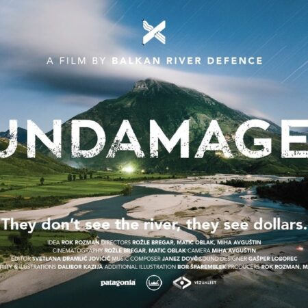 ? The Undamaged