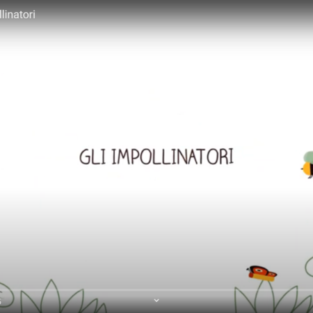 ? CampoAPErto: gli impollinatori