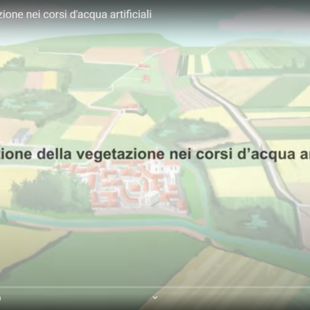 ? Come gestire la vegetazione nei corsi d'acqua artificiali