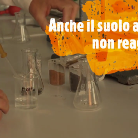 ?‍?⚗️? Come si scopre la presenza di carbonati in un suolo?
