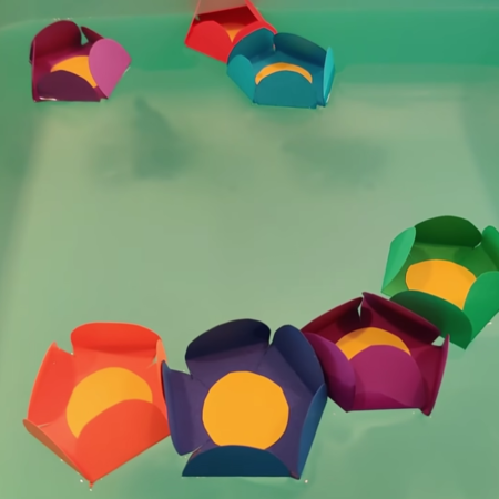 ?‍?⚗️? Fiori di carta che sbocciano per magia: capillarità dell'acqua