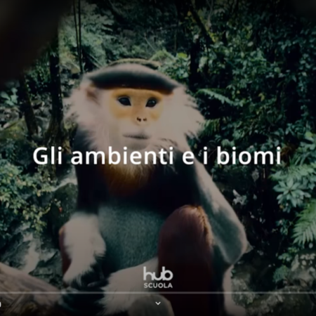 ? Gli ambienti e i biomi