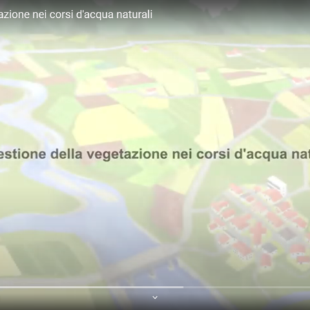 ? La gestione della vegetazione nei corsi d'acqua naturali