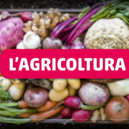 ? L'agricoltura