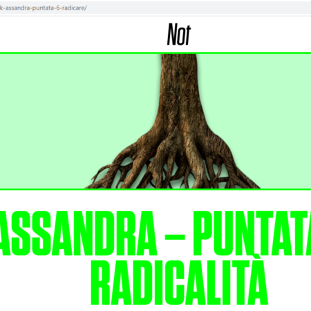 ?️ Radicalità