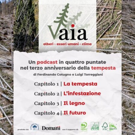?️ VAIA - alberi, esseri umani, clima