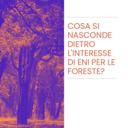?‍??  Cosa si nasconde dietro l’interesse di ENI per le foreste