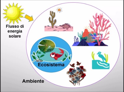 ?️ Percorso didattico Ecosistema_1