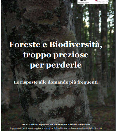 ??‍??  Foreste e Biodiversità. Troppo preziose per perderle