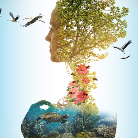 ?️ Percorso didattico Biodiversità_ 1