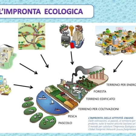 ?️ Percorso didattico ciclo dei rifiuti e impronta ecologica_1