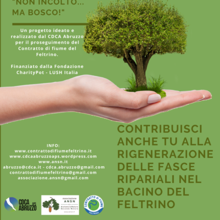 ?‍??  Non incolto ma bosco