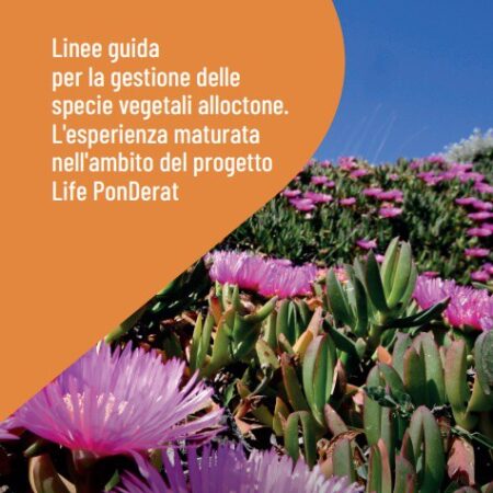 ?‍??  Linee guida per la gestione delle specie vegetali alloctone. L'esperienza maturata nell'ambito del Progetto PonDerat