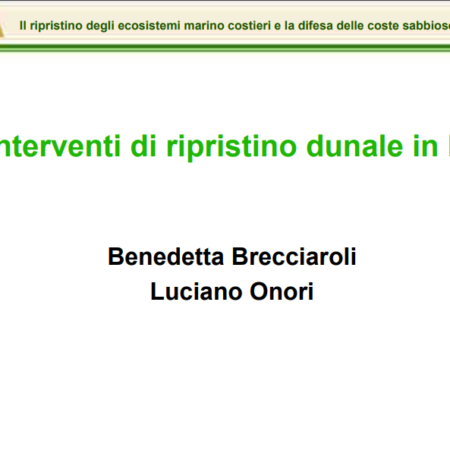 ?‍??  Gli interventi di ripristino dunale in Italia