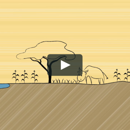 ? Desertification - A Visual Disaster