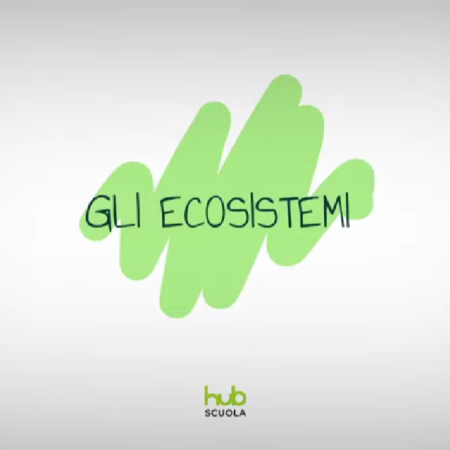 ? Gli ecosistemi