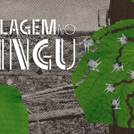 ? Land grabbing is the leading cause of deforestation in the Xingu River basin