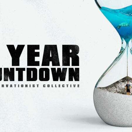 ? 10 Year Countdown - The Conservationist Collective