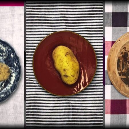 ? Agricoltura Intensiva vs Agricoltura Sostenibile