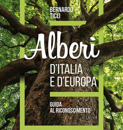 ? Alberi d'Italia e d'Europa