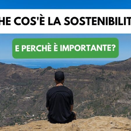 ? Che cos'è la sostenibilità e perché è importante?
