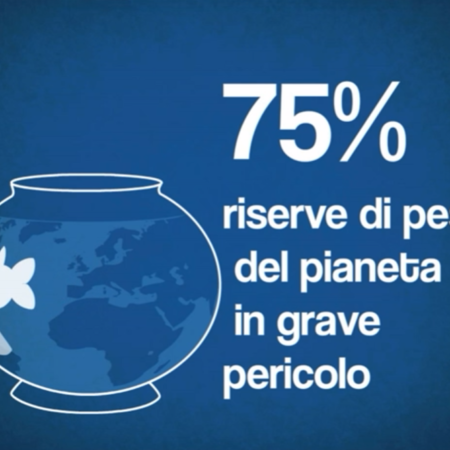 ? Chi Dorme non piglia Pesci - Parte 1 - Quanto pesce resta