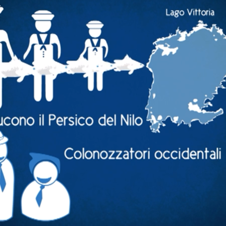 ? Chi Dorme non piglia Pesci - Parte 2- Il Persico del Nilo