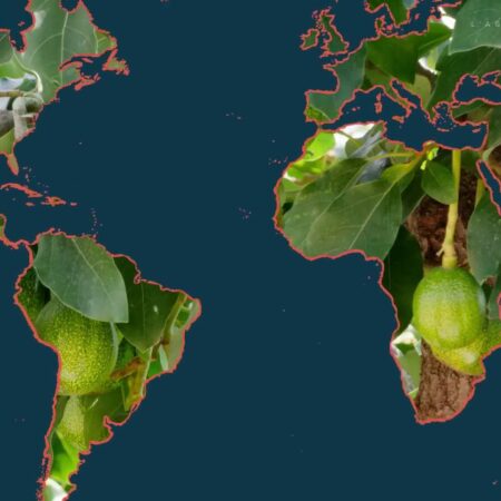 ? Com'è cambiata l'agricoltura nel tempo?