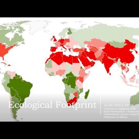? Ecological Footprint: un metodo per il calcolo della sostenibilità