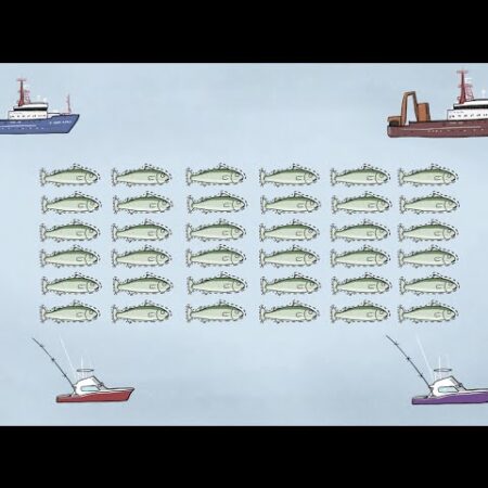 ? Fisheries Economics & Policy: Intro to Fisheries Management