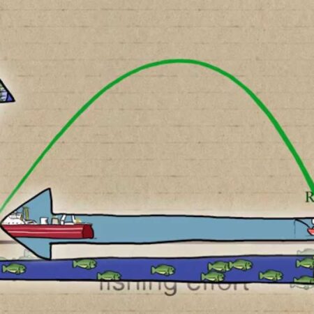 ? Fisheries Economics & Policy: Maximum Economic Yield