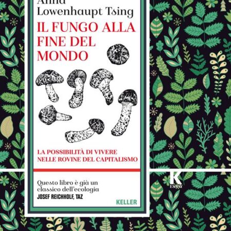 ? Il fungo alla fine del mondo - La possibilità di vivere nelle rovine del capitalismo