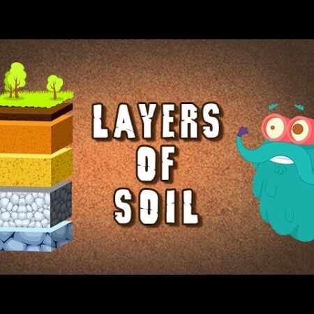 ? Layers Of Soil - The Dr. Binocs Show