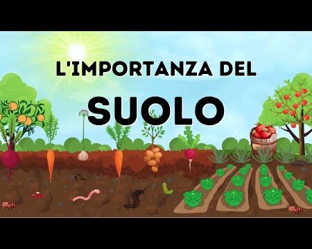 ? L'importanza del suolo