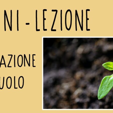 ? Mini lezione: formazione del suolo e struttura del suolo (pedogenesi)