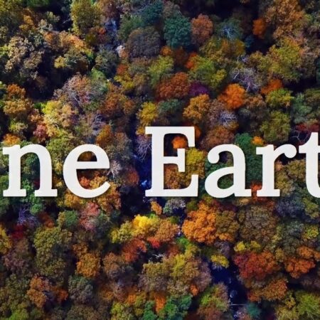 ? One Earth