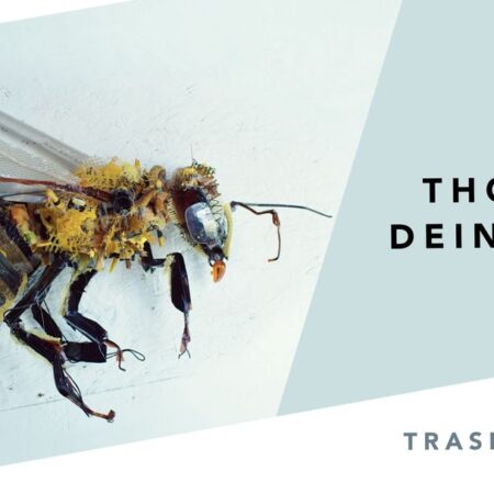 ? Thomas Deininger: Trash Artist