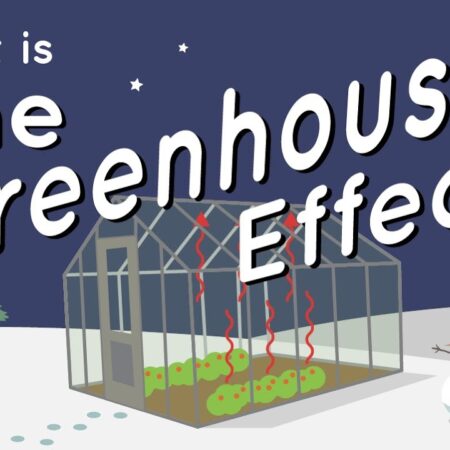 ? What Is the Greenhouse Effect? What Is the Greenhouse Effect?