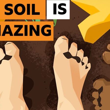 ? Why soil is one of the most amazing things on Earth
