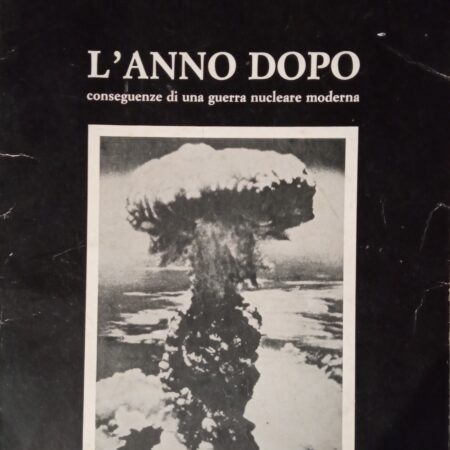 ? L'anno dopo. Conseguenze di una guerra nucleare moderna